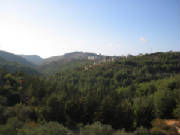 img_0016.jpg