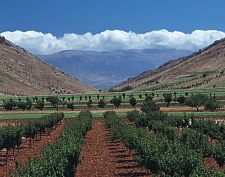 bekaa_valley_2.jpg