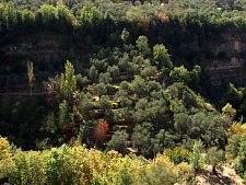 chouf.jpg