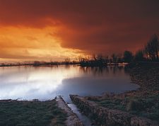 taanayel_lake_1.jpg