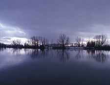 taanayel_lake_2.jpg