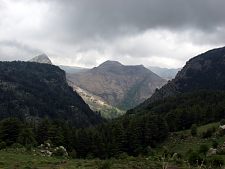 tannourine2.jpg