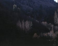 tannourine3.jpg